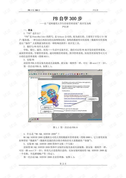 PB技術開發(fā)自學資源與CSDN文庫指南
